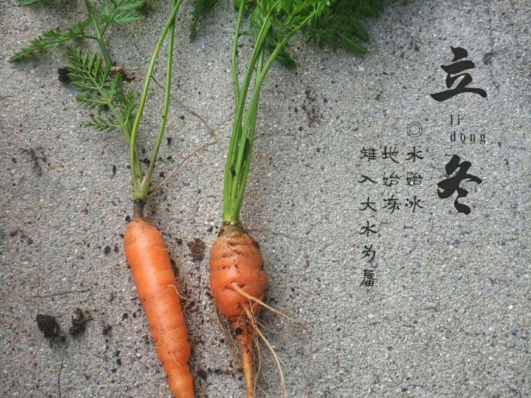 饮食记录