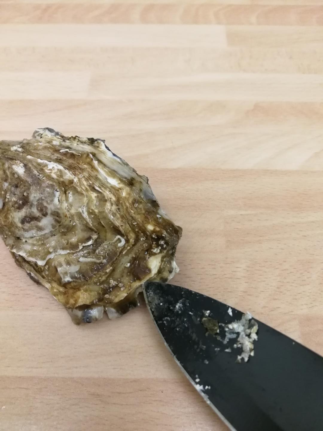 生蚝(论正确的撬壳方法)