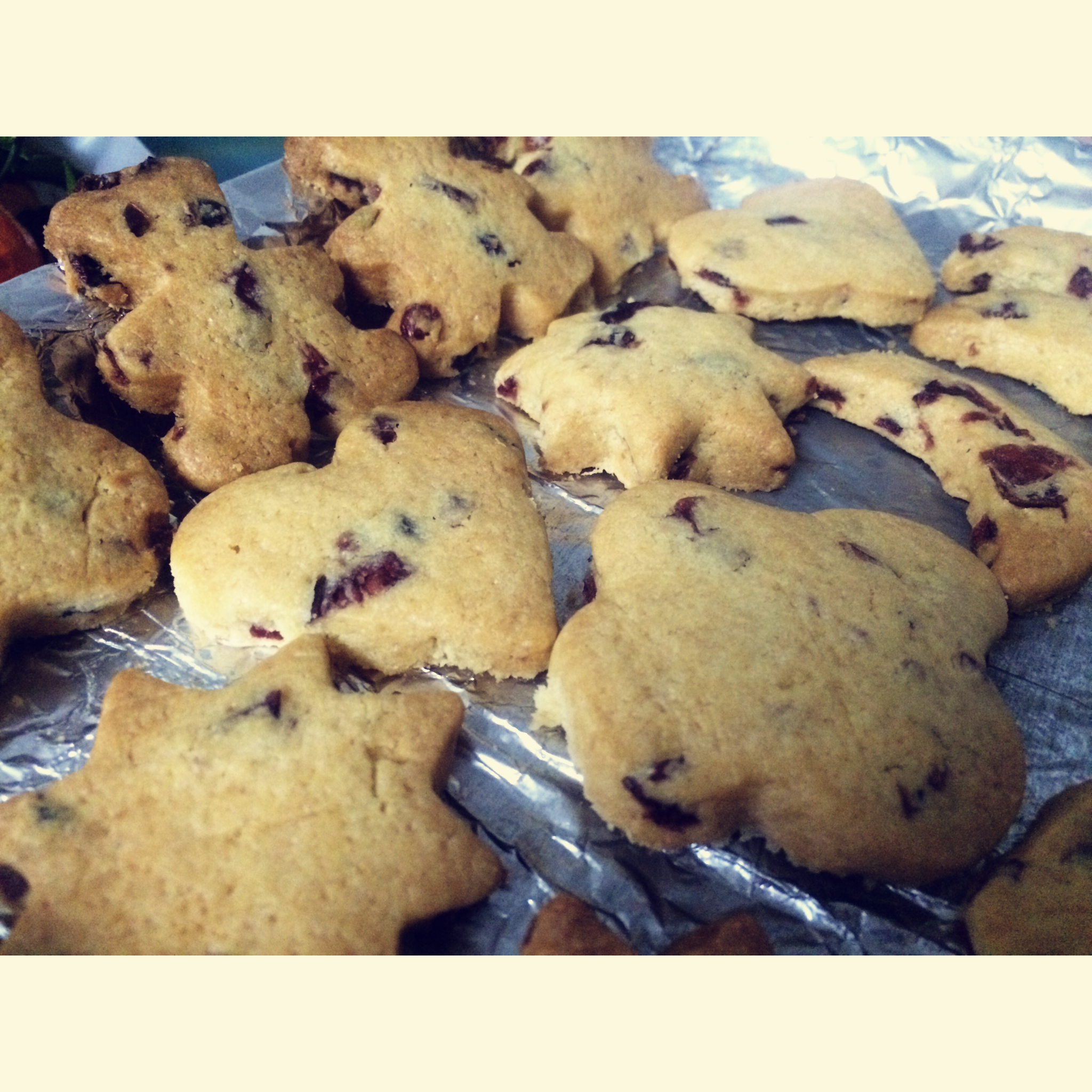 蔓越莓饼干 蔓越莓曲奇