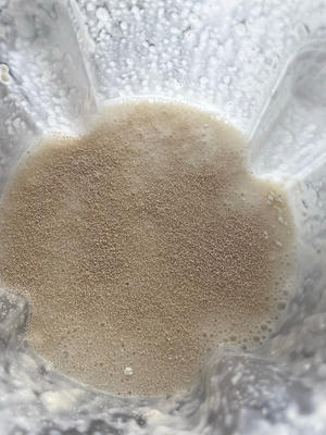 米浆粑粑（消耗剩饭/素食/酵母）的做法 步骤3