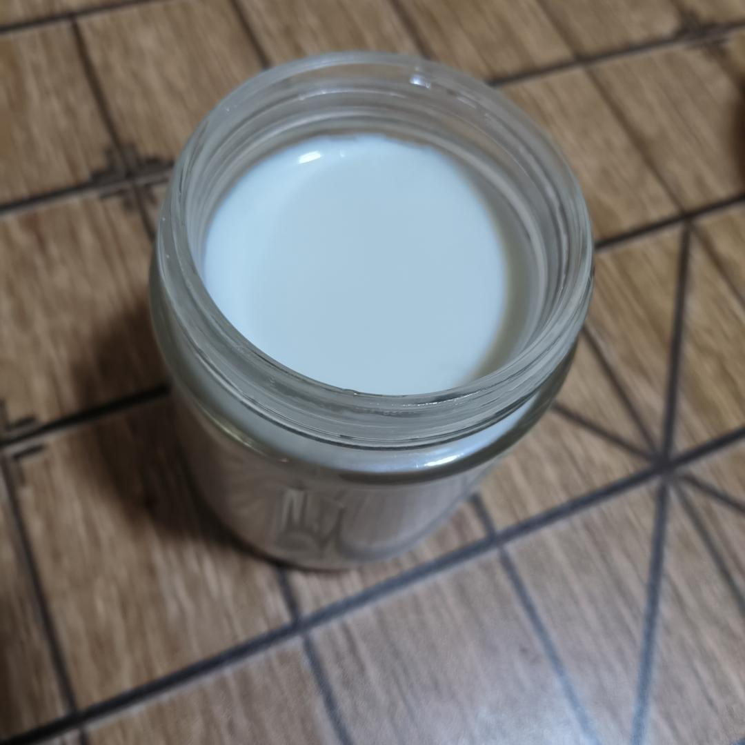 280 玻璃分杯的酸奶机集锦，多为老款酸奶机