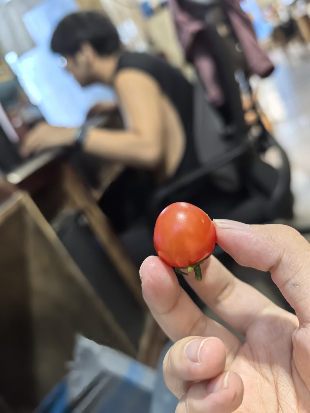 婚后 爱意只增不减