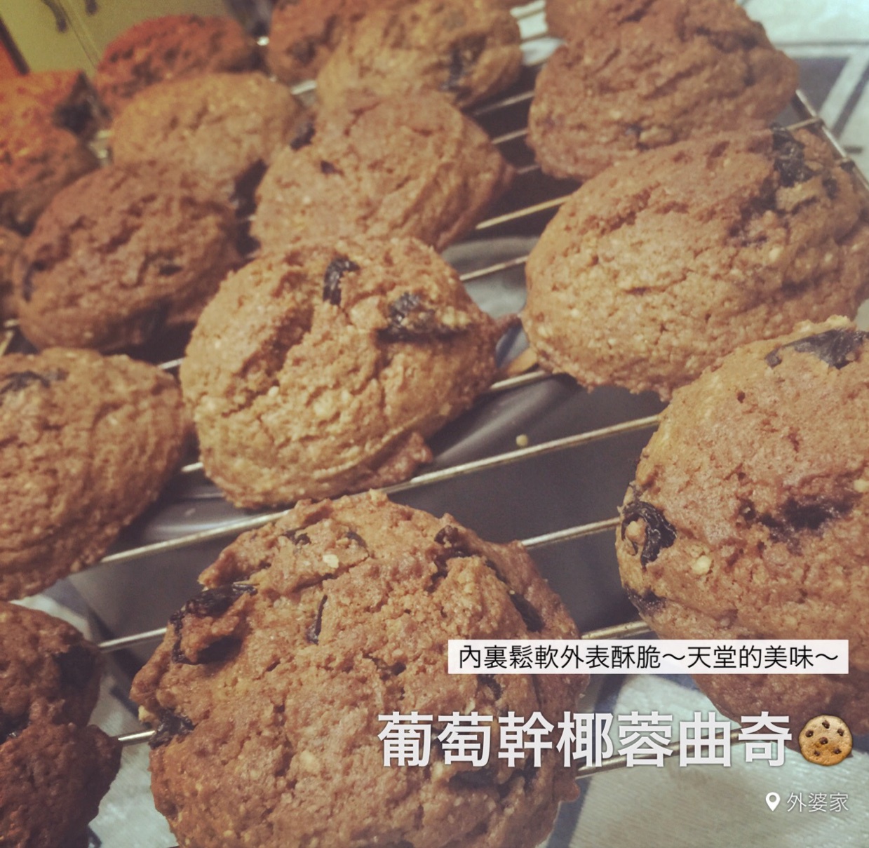 蔓越莓椰子曲奇 Cranberry & Coconut Cookies