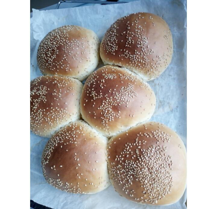 汉堡胚 poolish（波兰种）