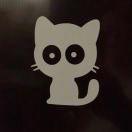 我是猫呀