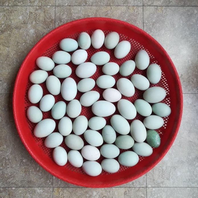 咸鸭蛋的3种腌法