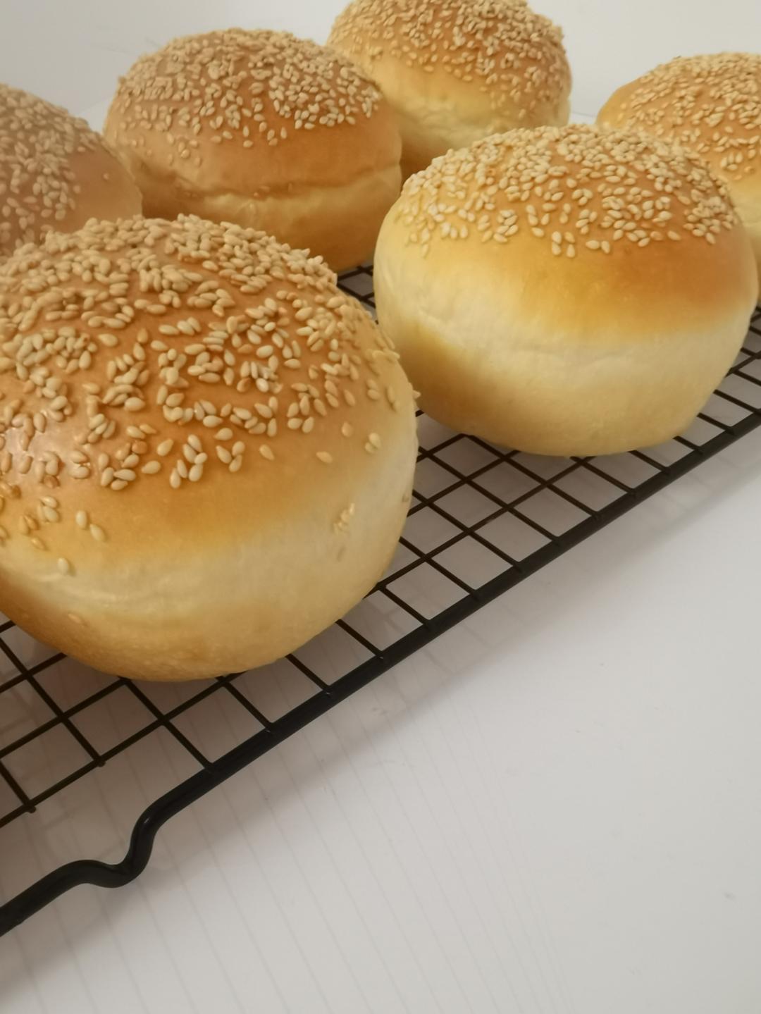 记录一个超级软的万用汉堡胚（波兰种）