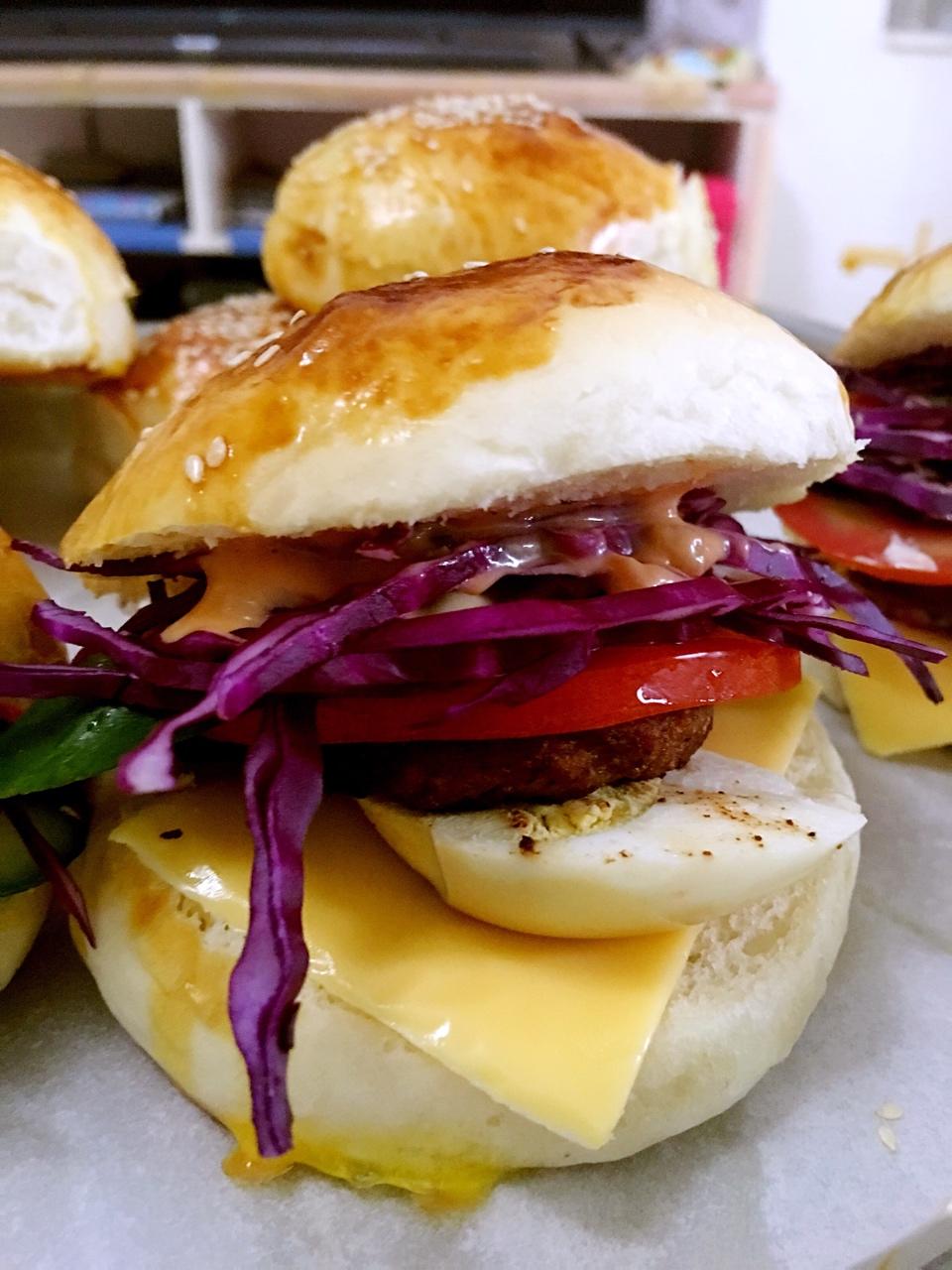 汉堡胚（中种法）