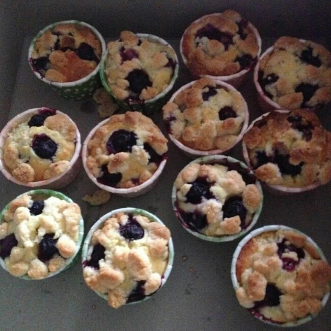 PH大师的蓝莓马芬