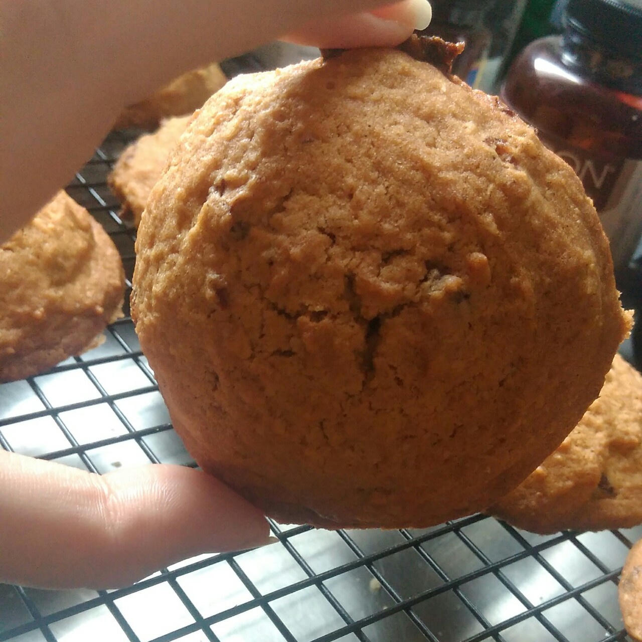 蔓越莓椰子曲奇 Cranberry & Coconut Cookies