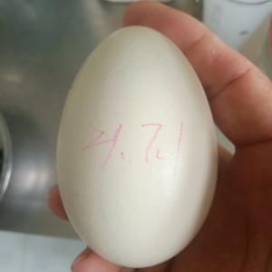 腌五香鹅蛋的做法 步骤7
