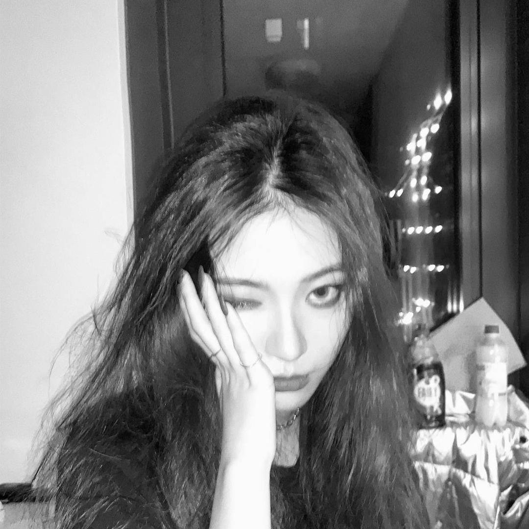 不吃香菜不吃葱11