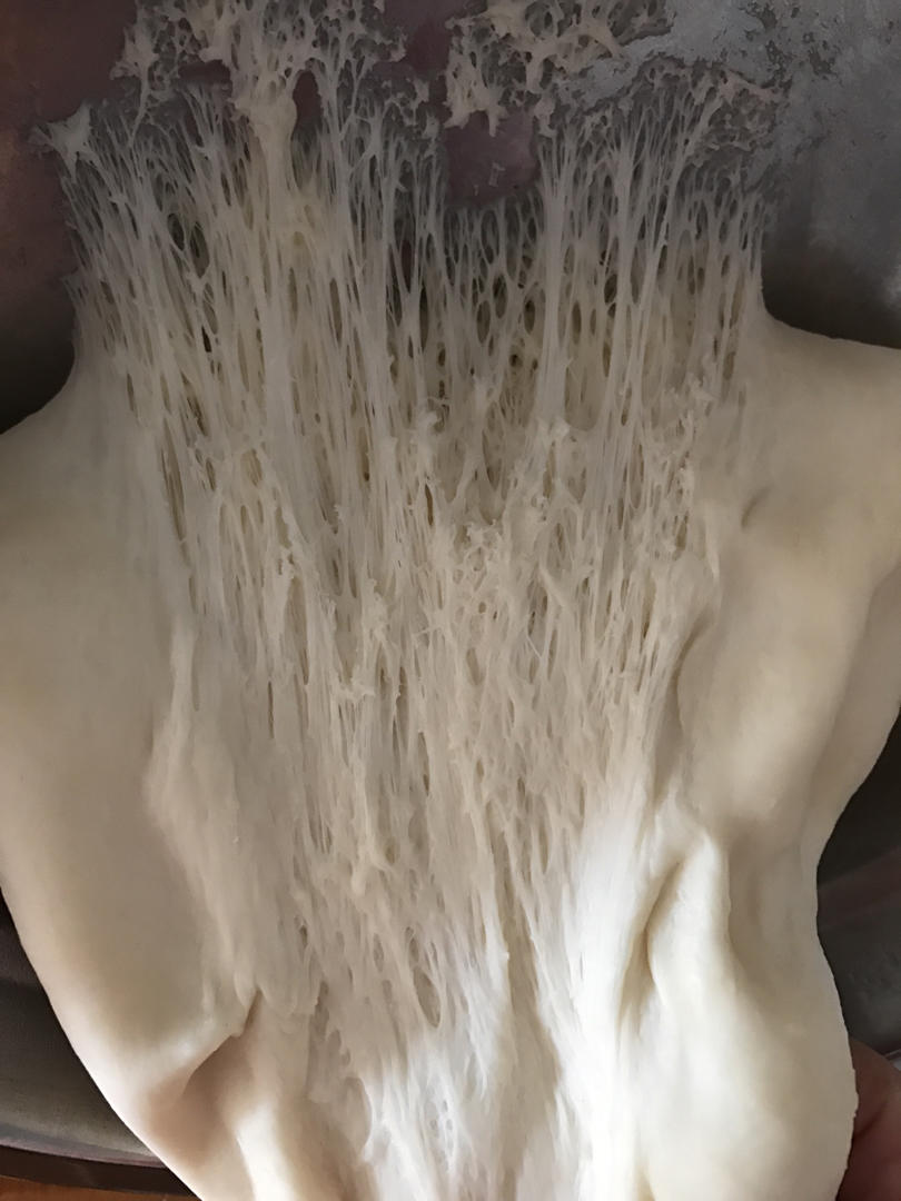 适用所有面包的中种面团