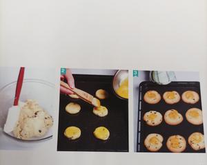 葡萄奶酥饼干的做法 步骤3