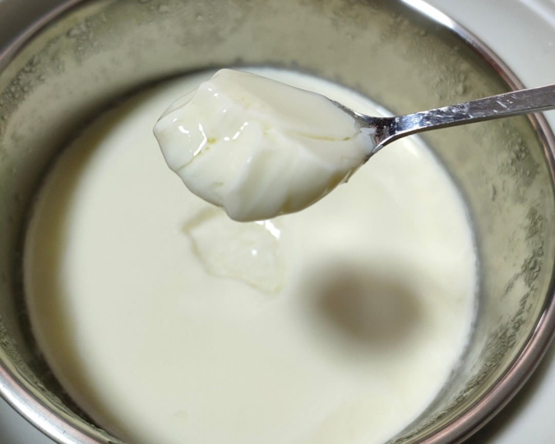 酸奶（奶粉自制酸奶）的做法