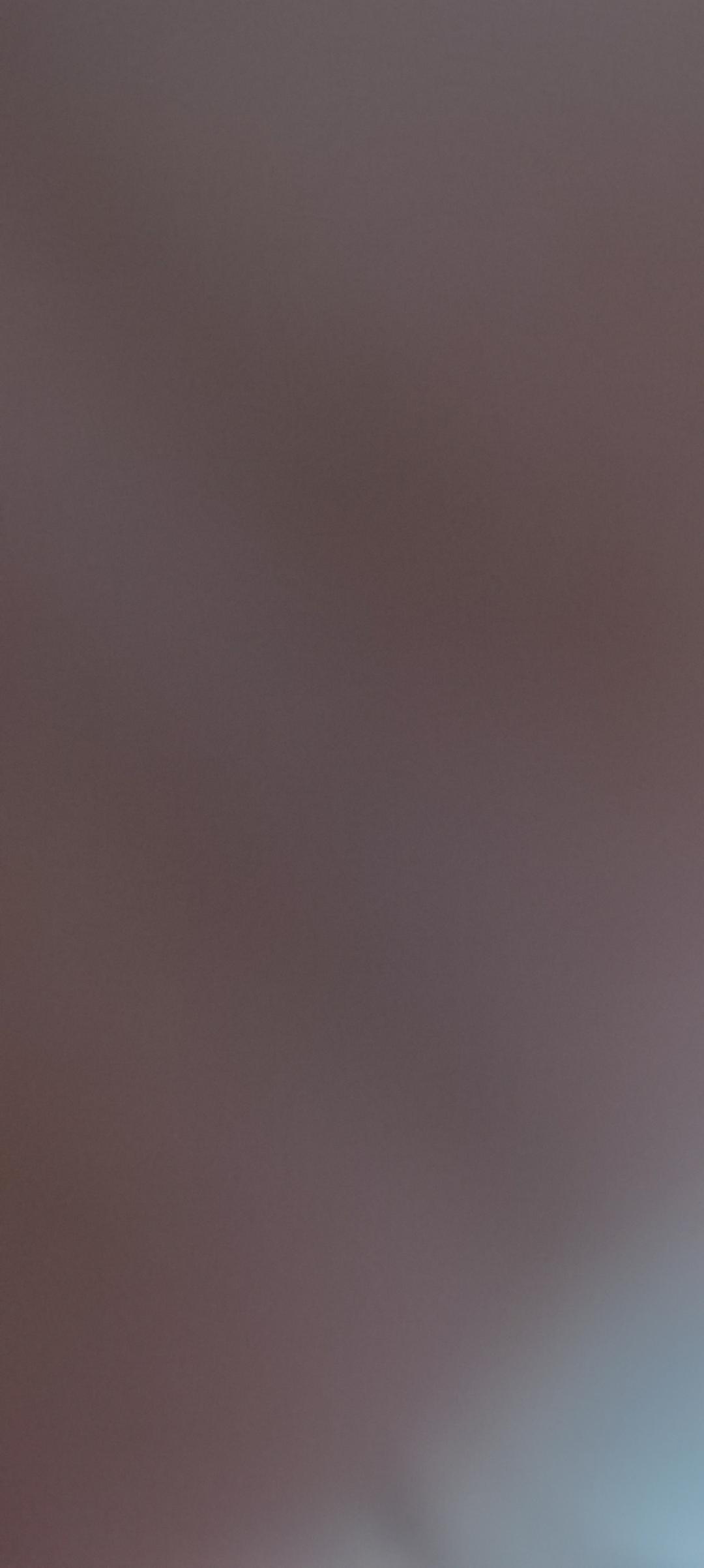 西红柿炒长豆角