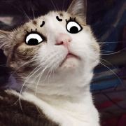 LnX不是无解函数