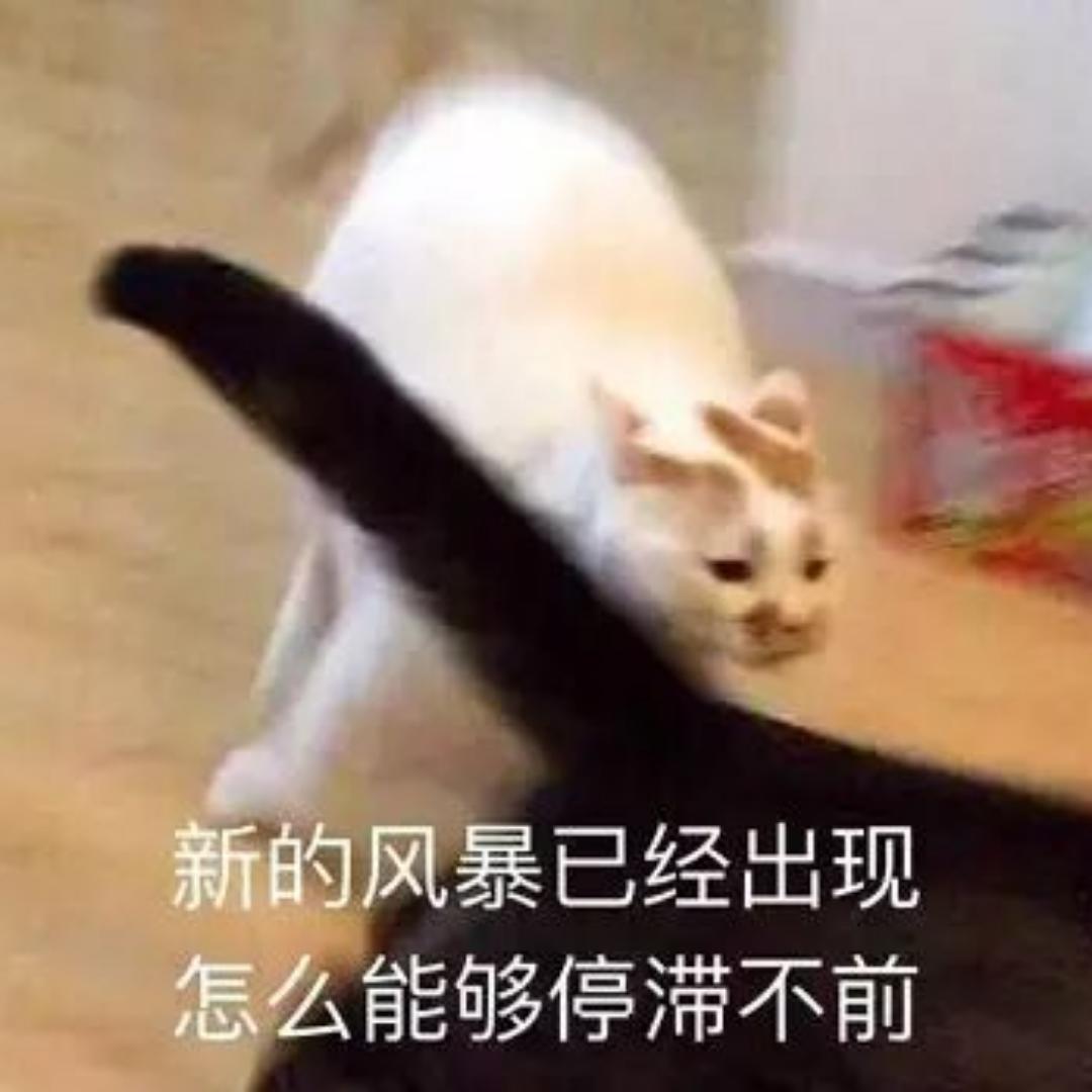 丁仪先生