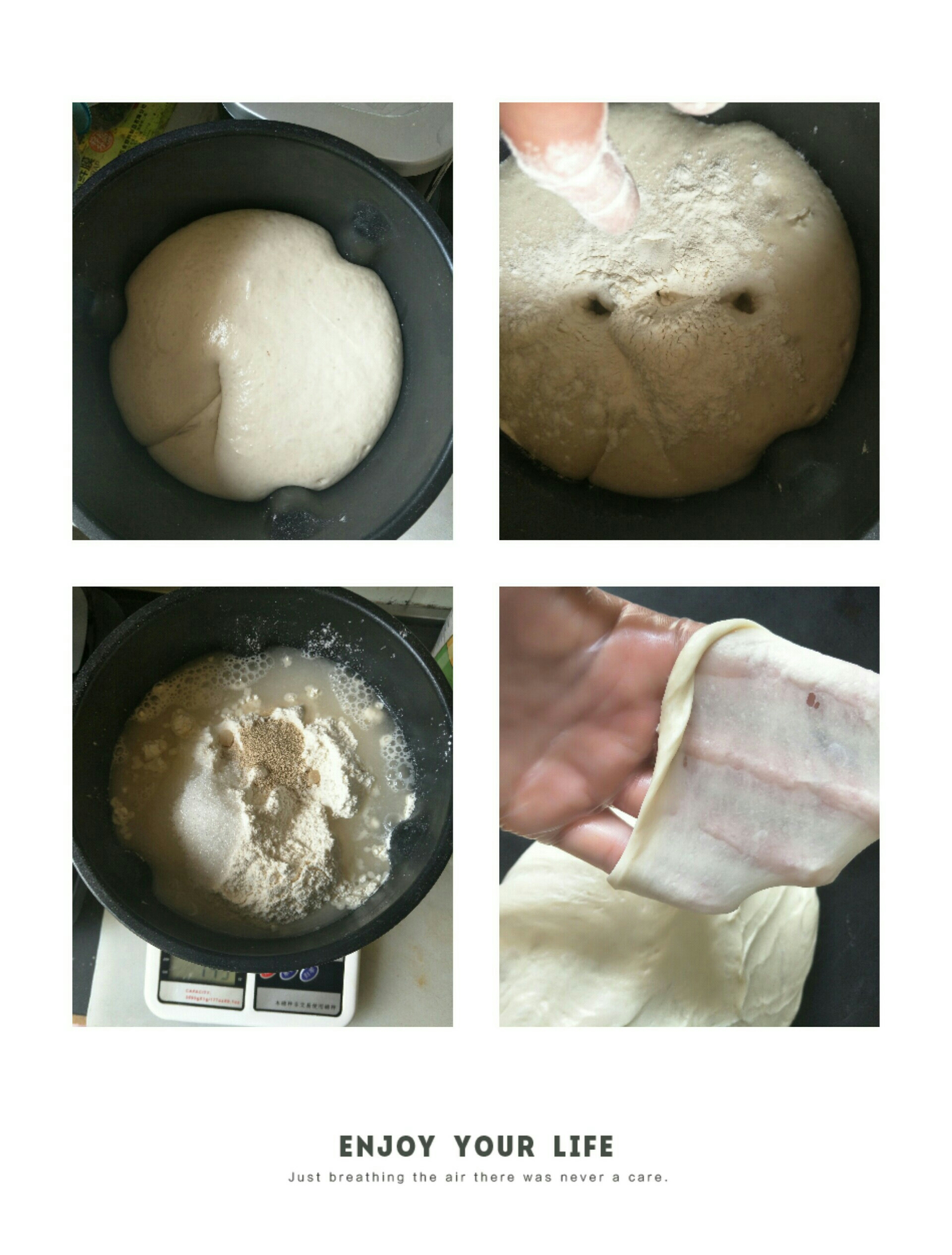 中种汉堡胚的做法 步骤2