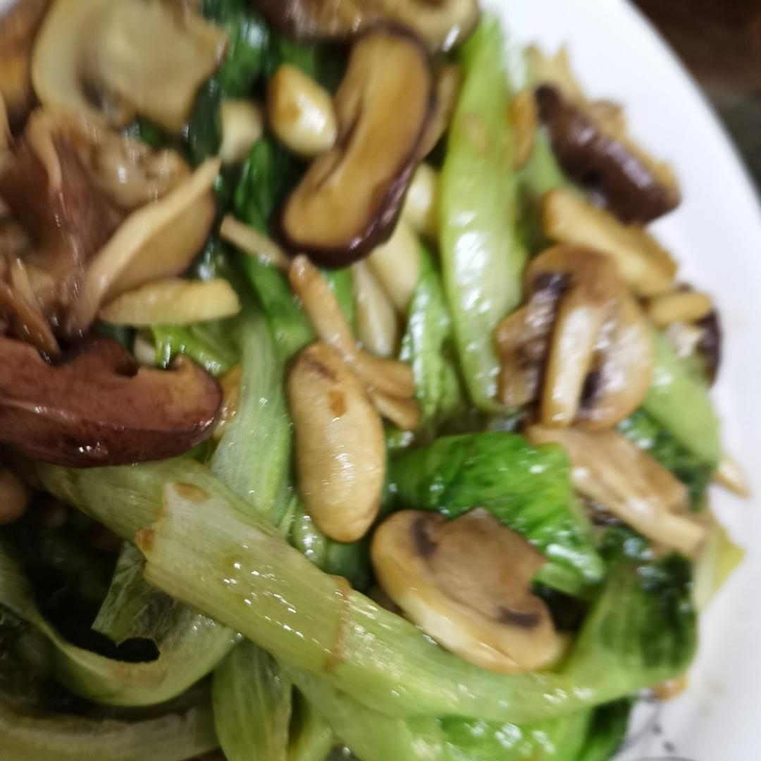 蚝油海鲜菇（此菜谱感觉适合所有蘑菇类）