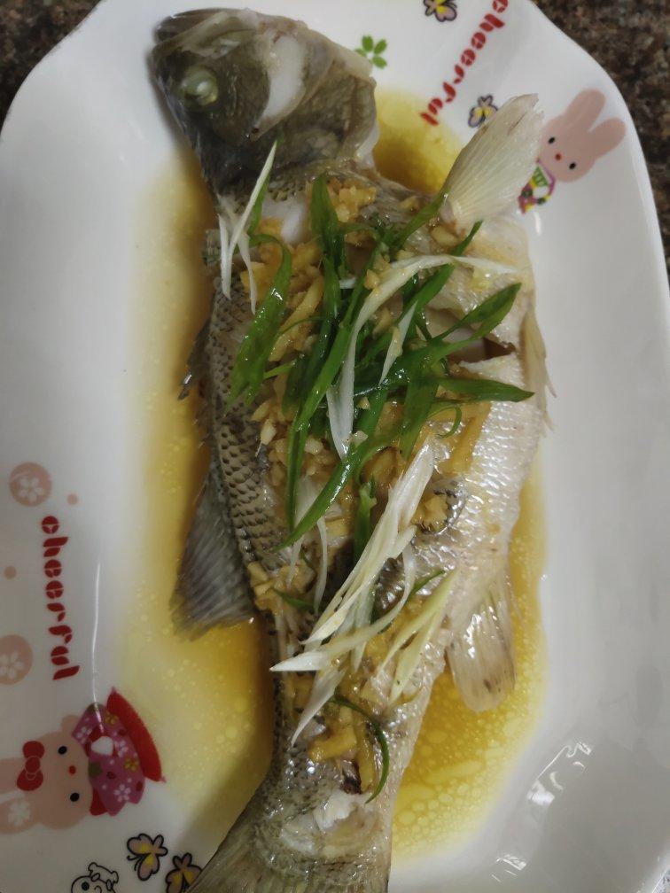 清蒸鲈鱼（桂鱼、多宝、鸦片鱼等）