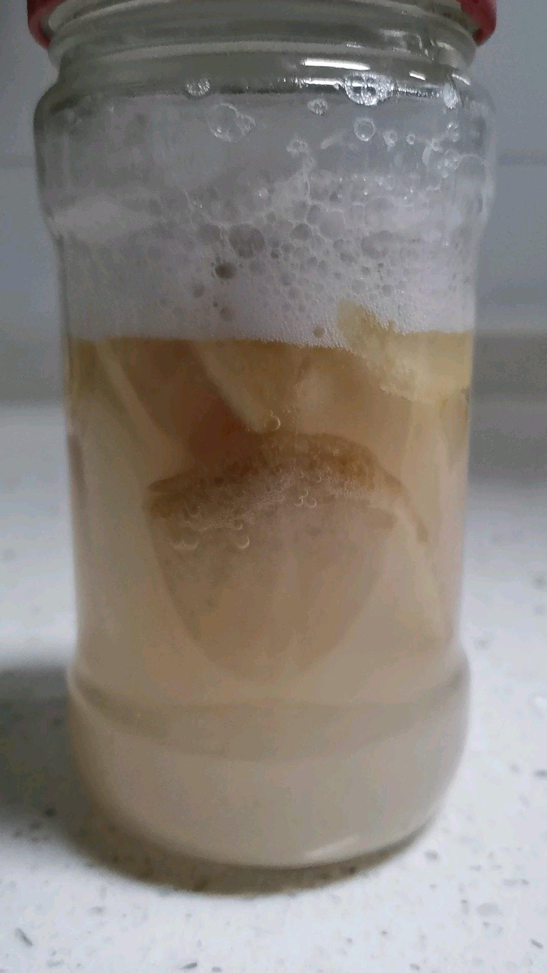 【制作工艺】手把手教你制作水果天然酵液🍑