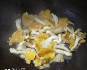 榆黄菇炒蛋的做法 步骤7