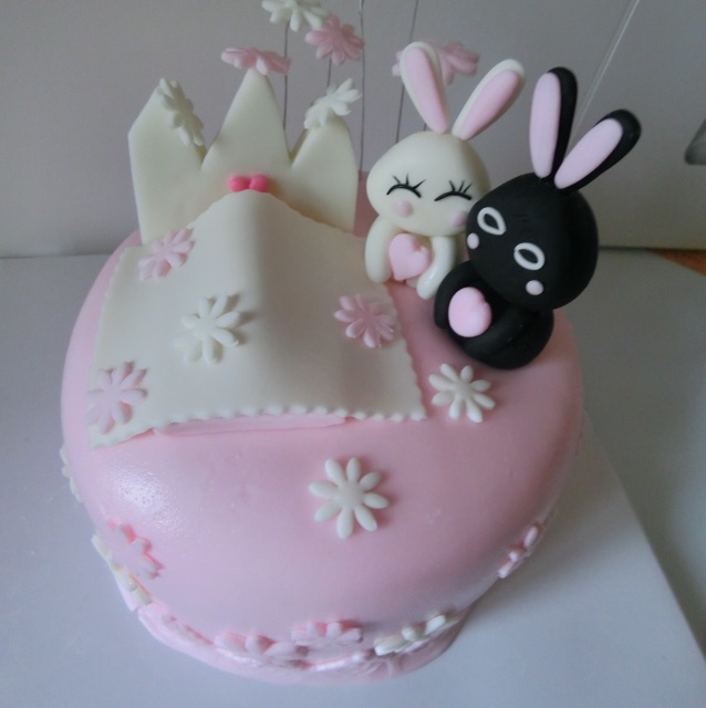 Hu°兔子的烘培纪录