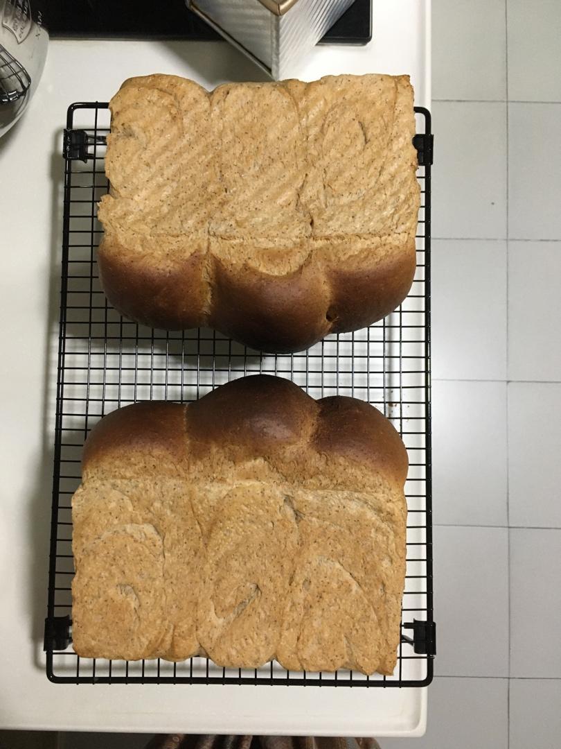 松软黑麦全麦吐司(水合法)