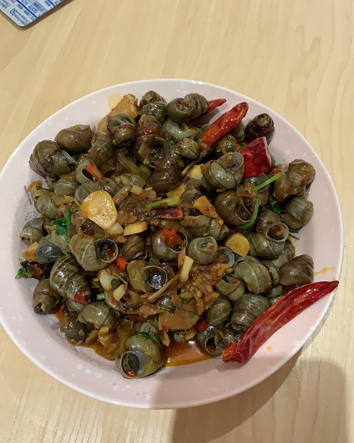 手机用户8868_a3jl做的香辣田螺-和小龙虾并肩的四川夜宵之王