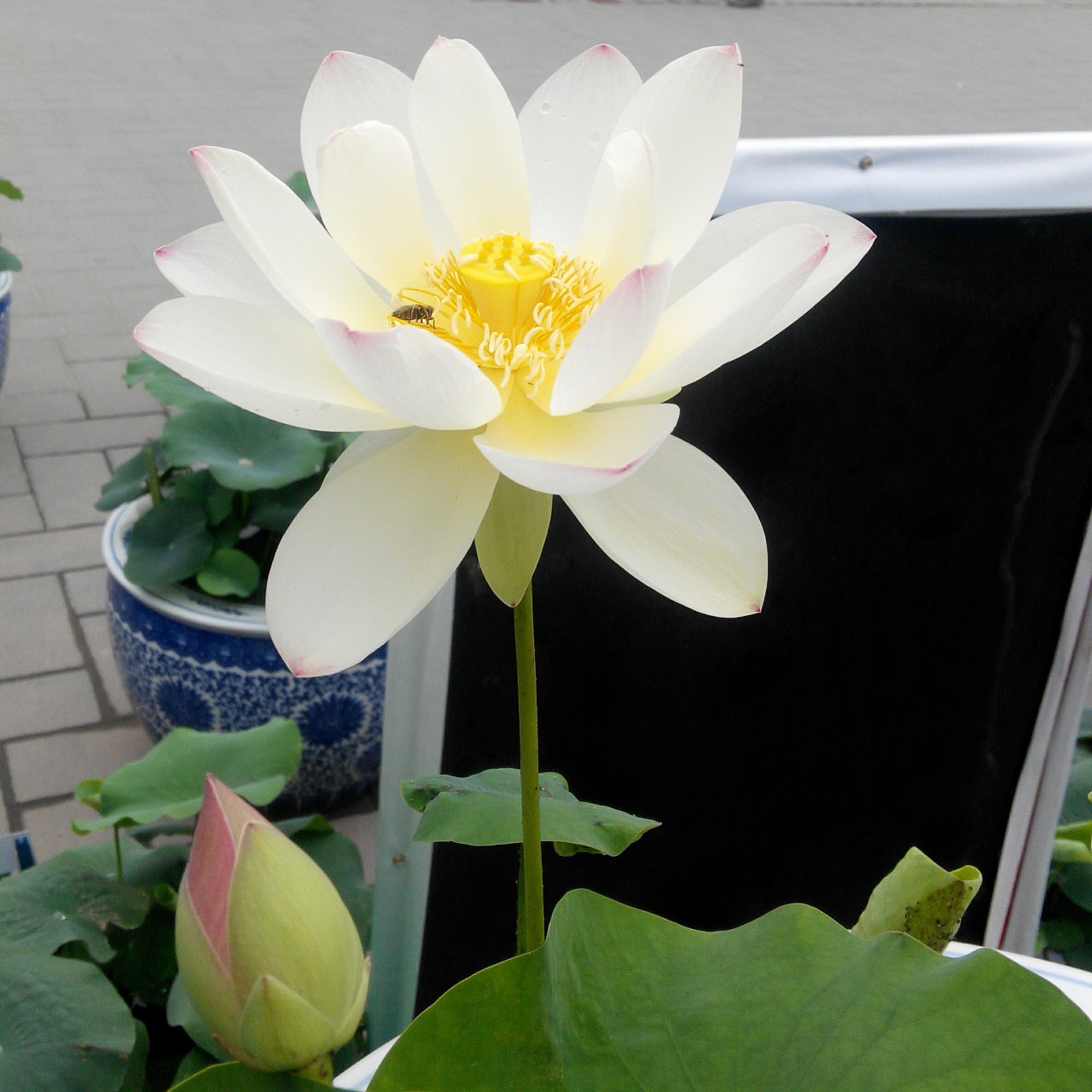 手机用户1392_yxkc