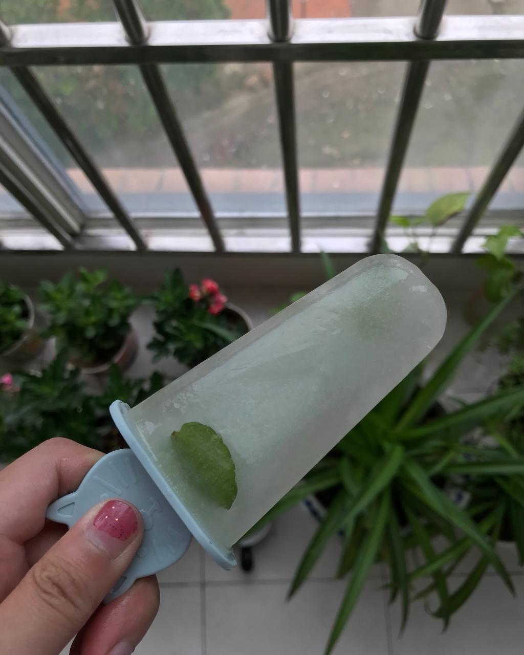 荒城做的薄荷叶棒冰