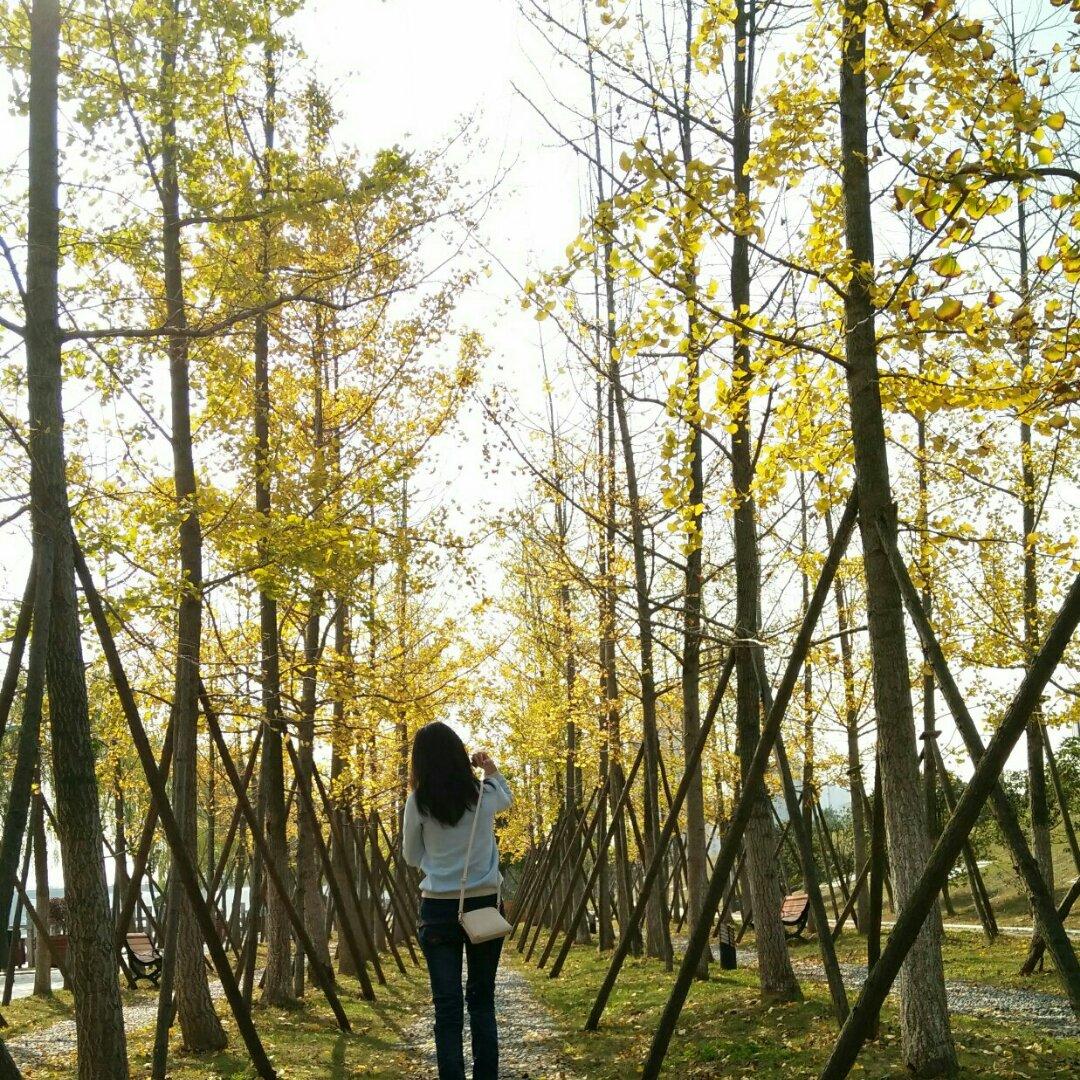 手机用户1658_7atp