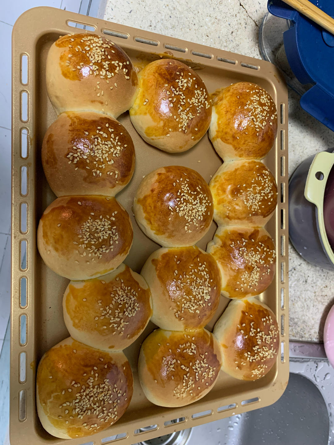 全麦餐包