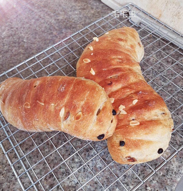 毛毛虫红枣豆浆软欧面包