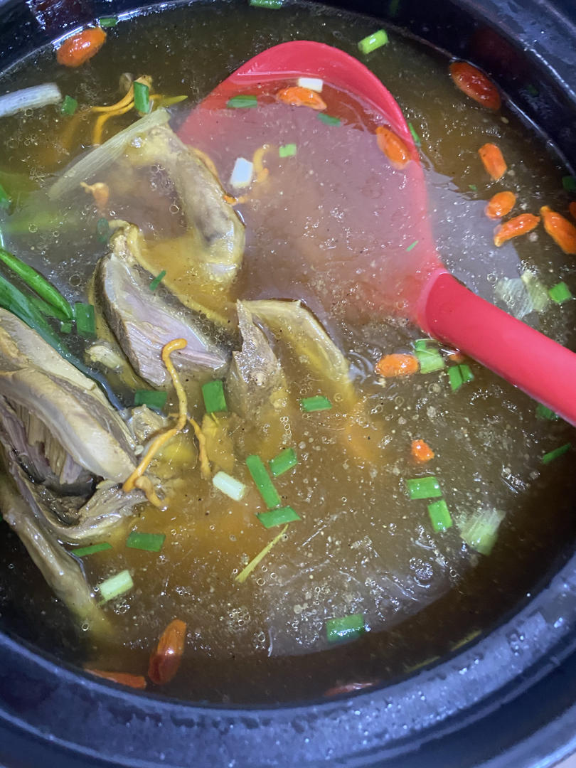 虫草花鸽子汤