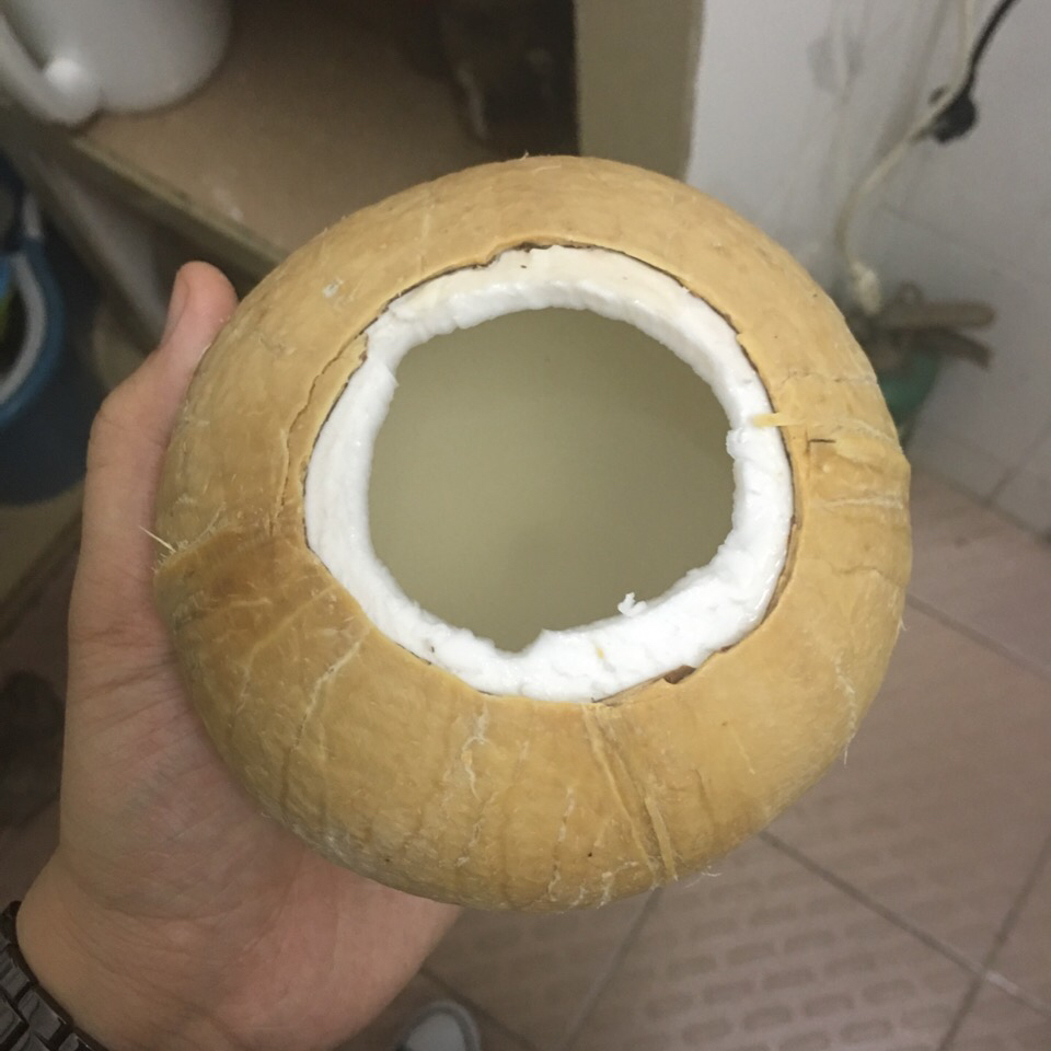简单容易快捷的开椰法（椰皇）