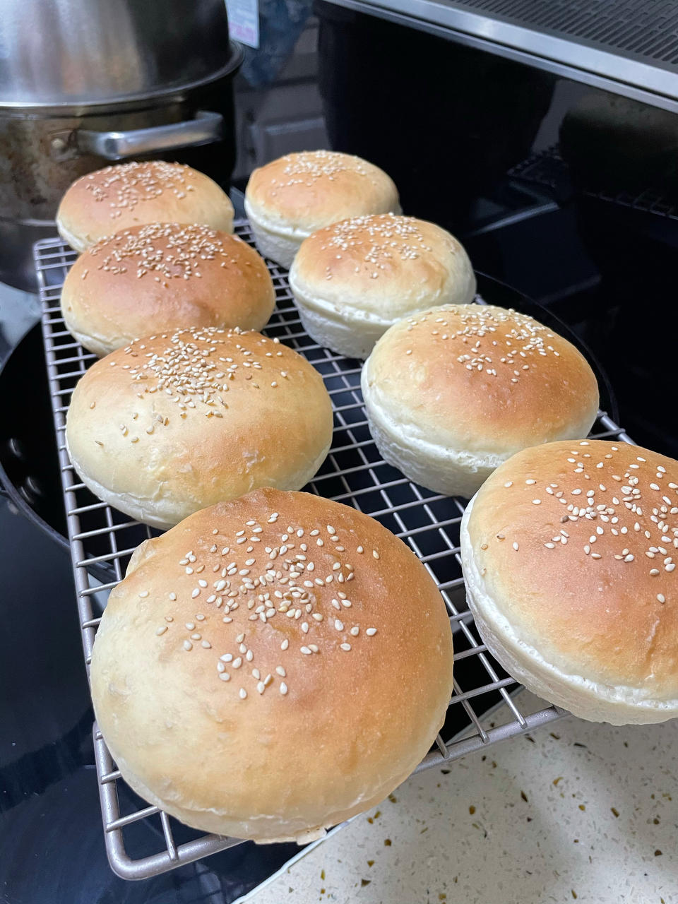 记录一个超级软的万用汉堡胚（波兰种）