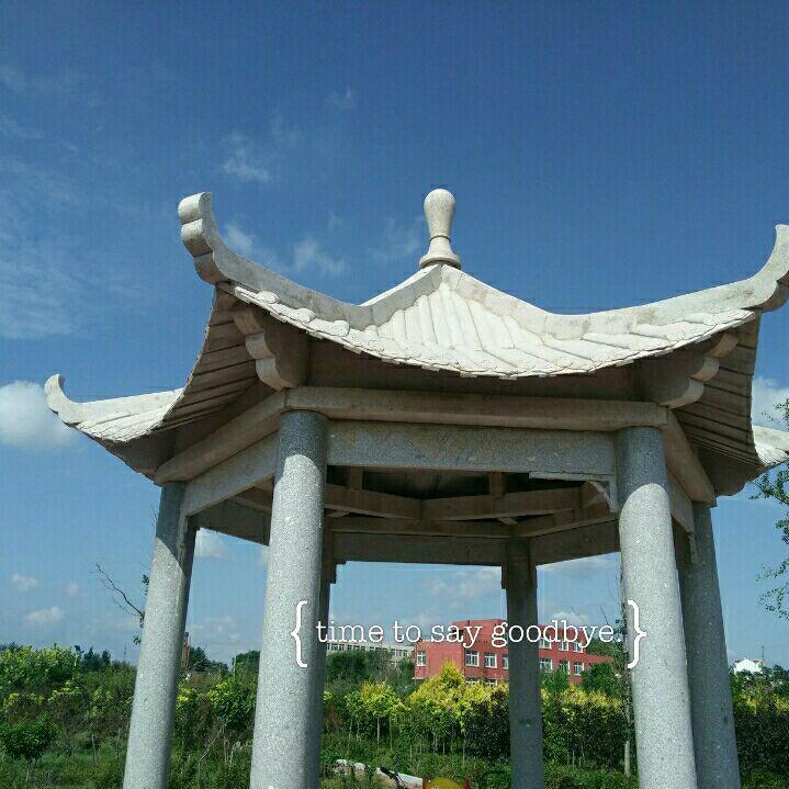 小树叶