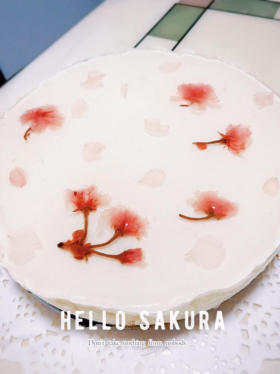 樱花冻酸奶芝士蛋糕镜面樱花的摆放