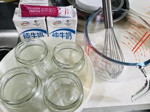 原味益生菌酸奶的做法 步骤1