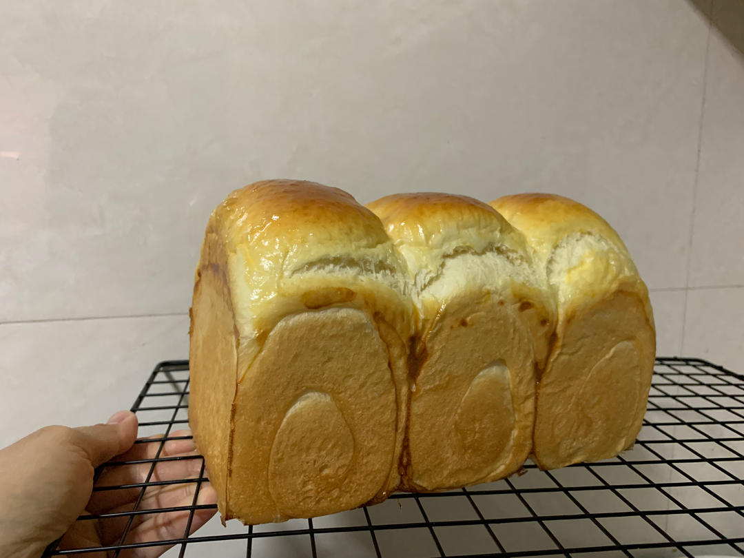 波兰种牛奶吐司