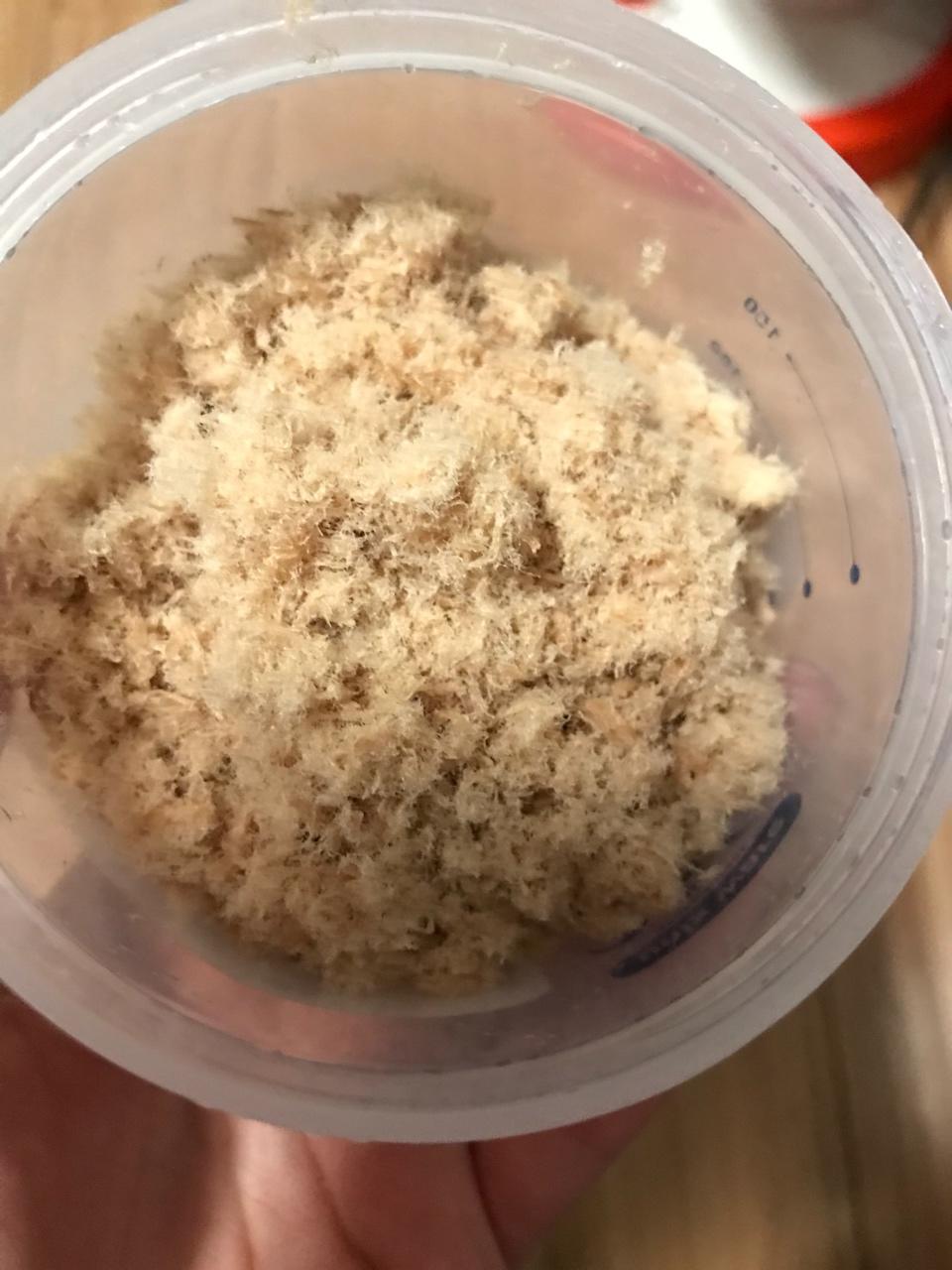 婴儿猪肉松（无盐无油）