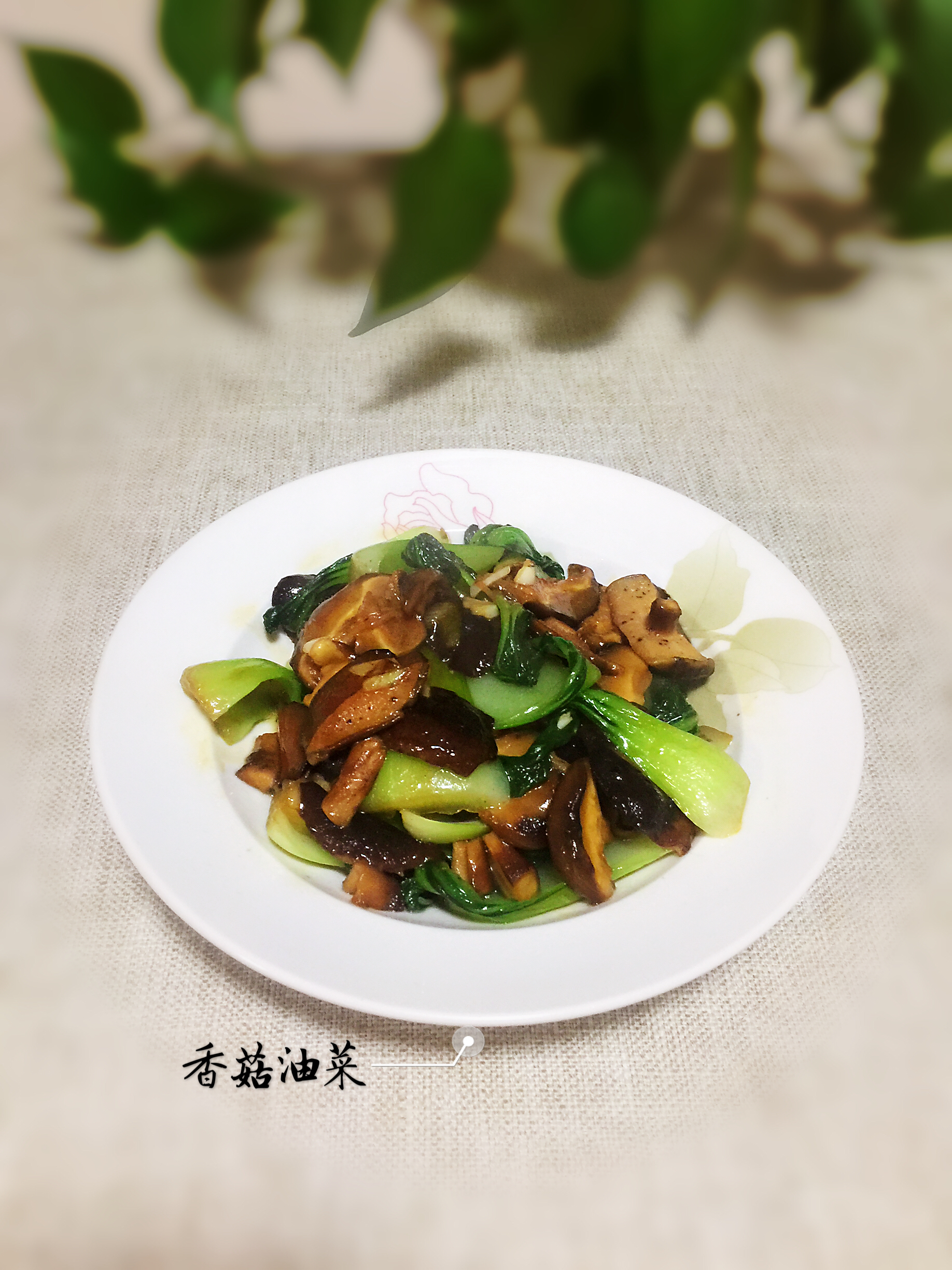 【三个小时十八道菜】之香菇油菜的做法