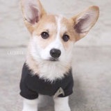 littleB