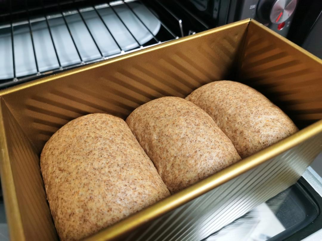 减脂｜无糖全麦吐司🍞，无糖全麦也能长得高