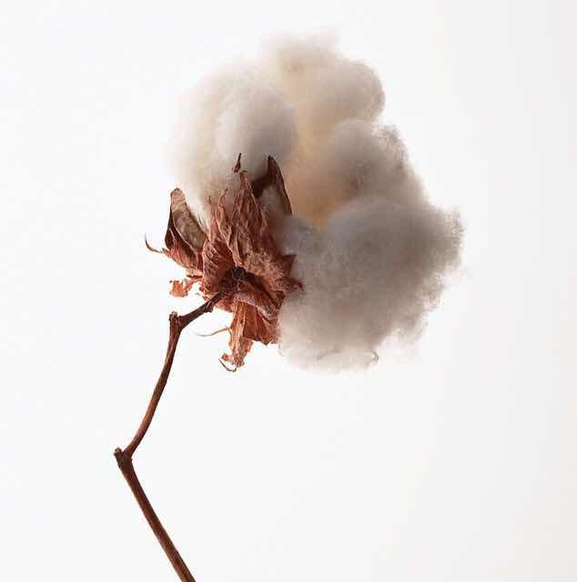 一朵甜品设计师