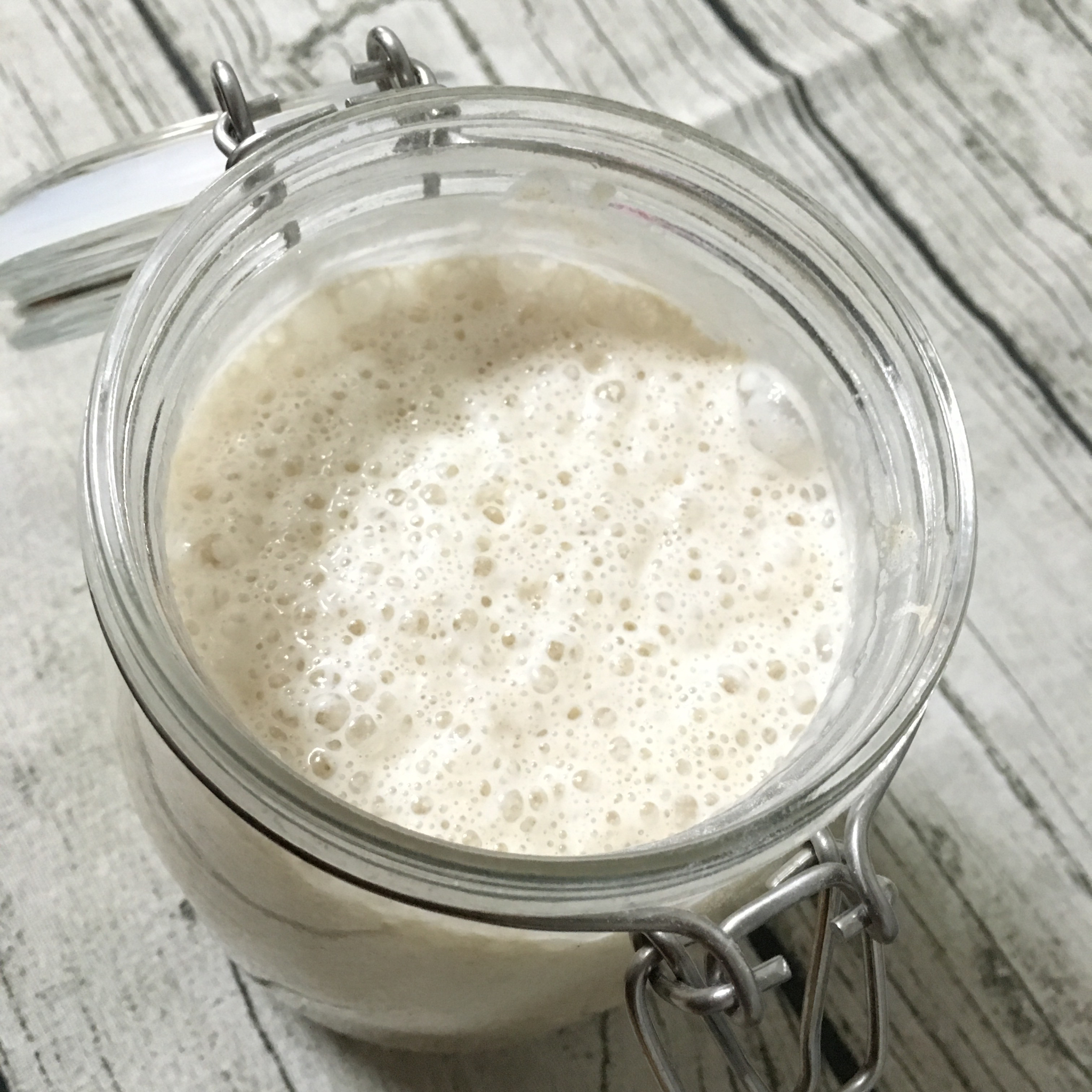 天然酵种养成记