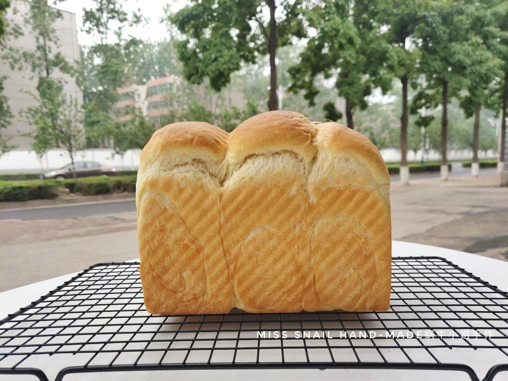 记录吐司🍞