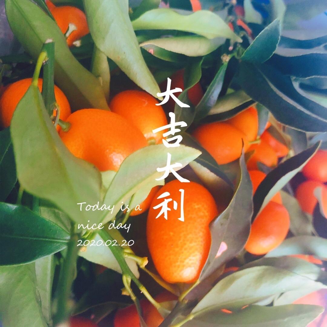 蜜渍金桔酱 奶奶的秘方